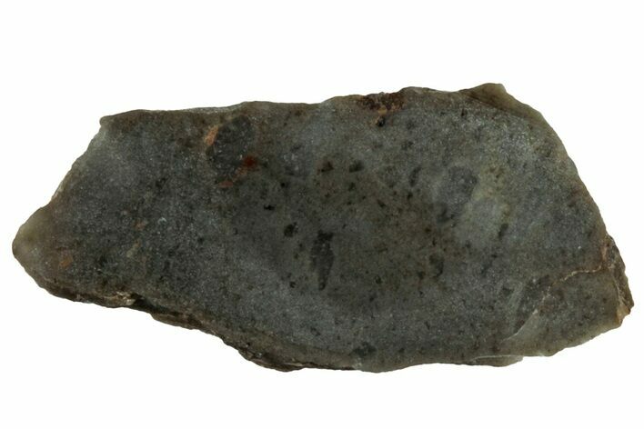 NWA Lunar Meteorite ( g) Slice #307586